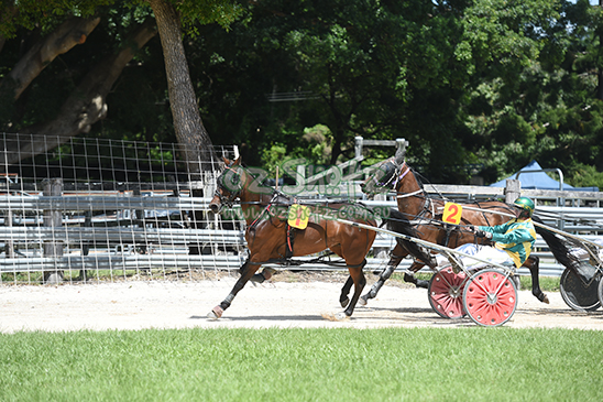 Mullumbimby Show 2022 - 12th and 13th November 2022