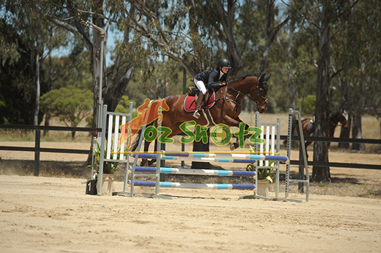 NVSJC Victorian State Titles in conjunction with Jumping Victoria - 17th to 19th November 2023