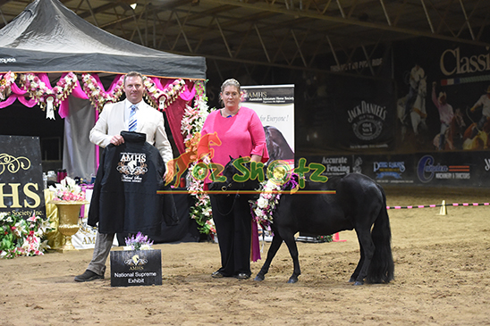 AMHS National Show - 10th-14th April 2024