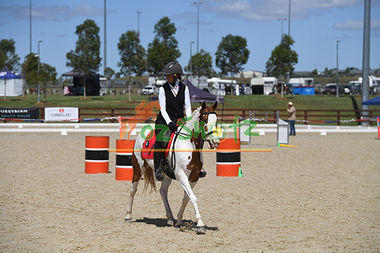Working Equitation National Championships - 21st to 24th November 2024