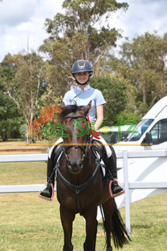 RM's Express Eventing - 15th and 16th Febuary 2025