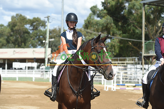 Warwick Show - 21st to 23rd March 2025