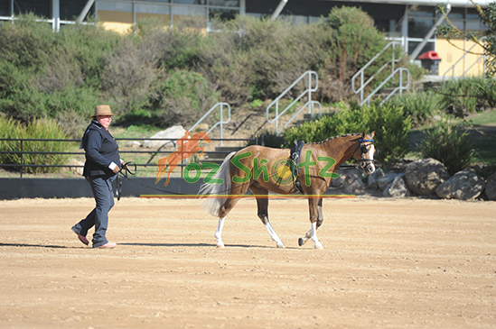 IMHR Nationals - 17th to 20th April 2025