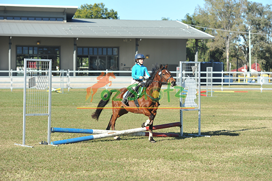 Rosewood Open Showjumping - 8th of June 2025