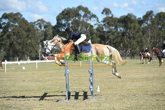 Warwick Horse Trials CCN - 7th & 8th June 2025