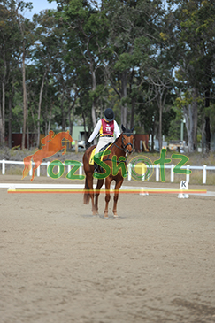 PCQ State Dressage, CT & HT - 7th to 11th July 2025