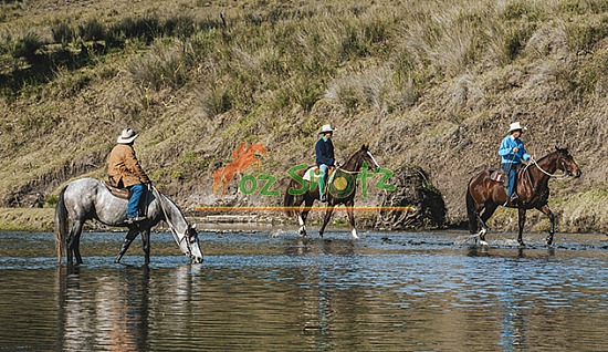Crossing the Creek