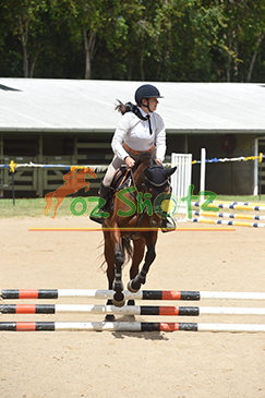 Nambour Pony Club Official Show Jumping & Equitation - 31st and 1st Janurary 2026
