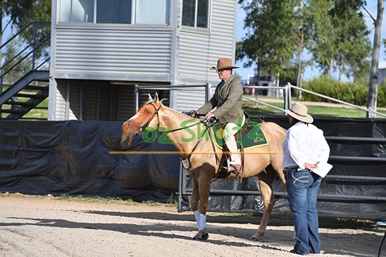 ASHS Nationals - 7th to 12th March 2026