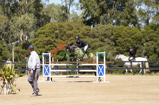 NVSJC CSI1-W World Cup Festival - 13-15 March 2026