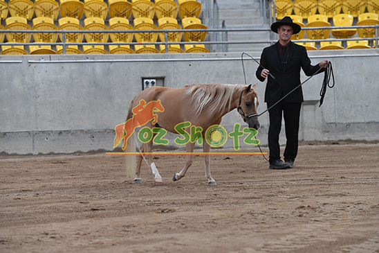 IMHR Grand National - 17th to 19th April 2026
