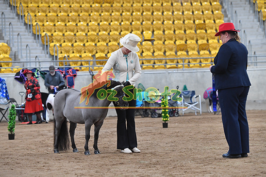 National Miniature Register Nationals - 19th April 2026