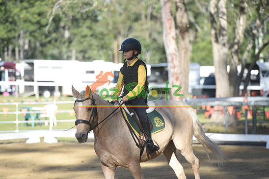 Greenbank Combined Training and Dressage - 24th of May 2026
