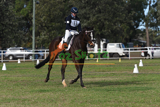 North West Equine Expo - 29th May to 2nd June 2026