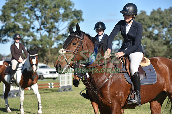 Camden Winter Show Jumping Festival - 6th  to 8th June 2026