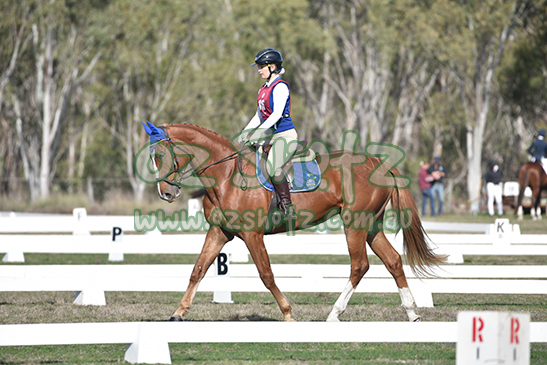 Warwick ODE & PCQ Eventing 20th - 21st June