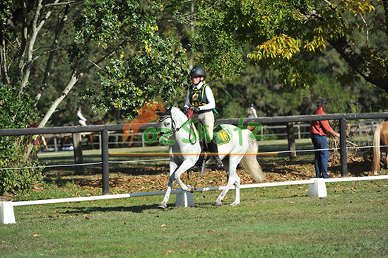 2026 PCQ State Dressage, Combined Training 7th to 9th July 2026