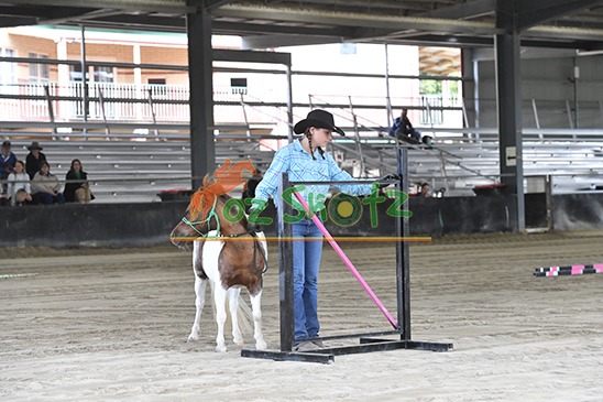 AMHS QLD State Champs - 19th to 23rd August 2026