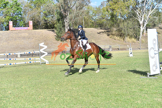 TJC and WestVETS CCN ODE 5th and 6th September 2026